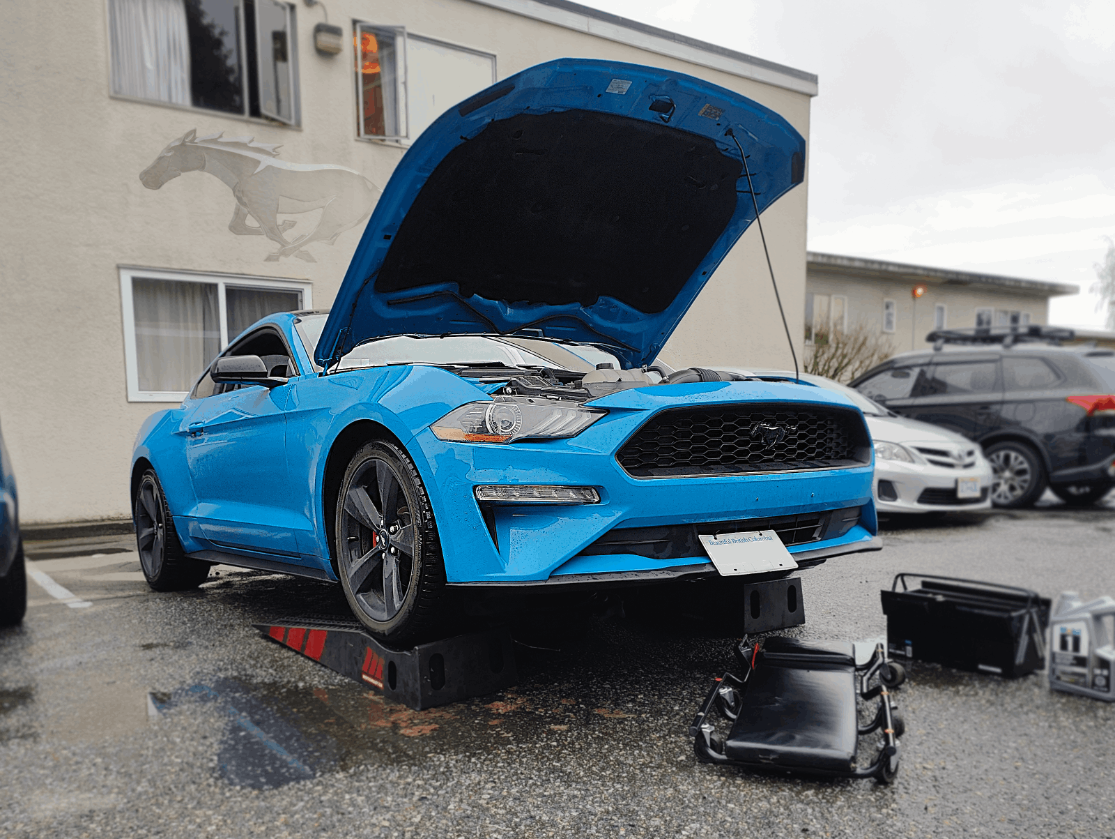 Mobirise Website Builder